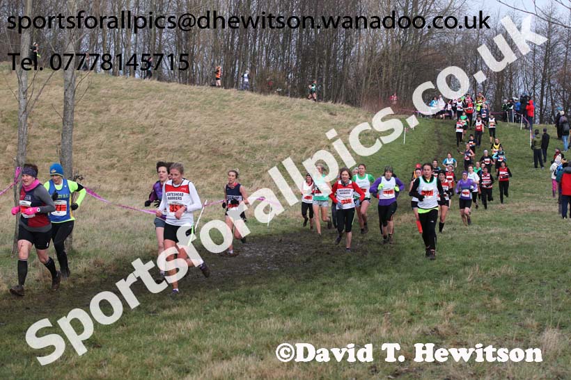Senior womens NEHL, Jarrow. Photo: David T. Hewitson/Sports for All Pics